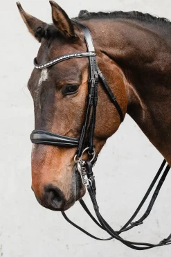 schockemohle Milton Anatomic Double Bridle Black/Silver