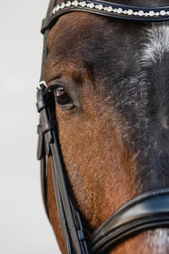 schockemohle Milton Anatomic Double Bridle Black/Silver