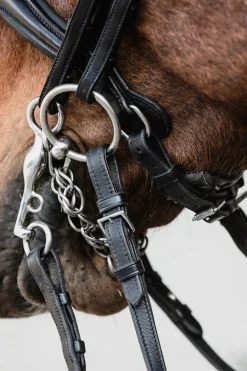 schockemohle Milton Anatomic Double Bridle Black/Silver