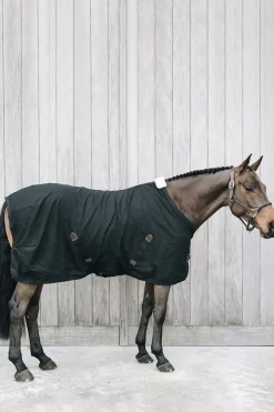 kentucky Sechante En Coton Horsewear Black New