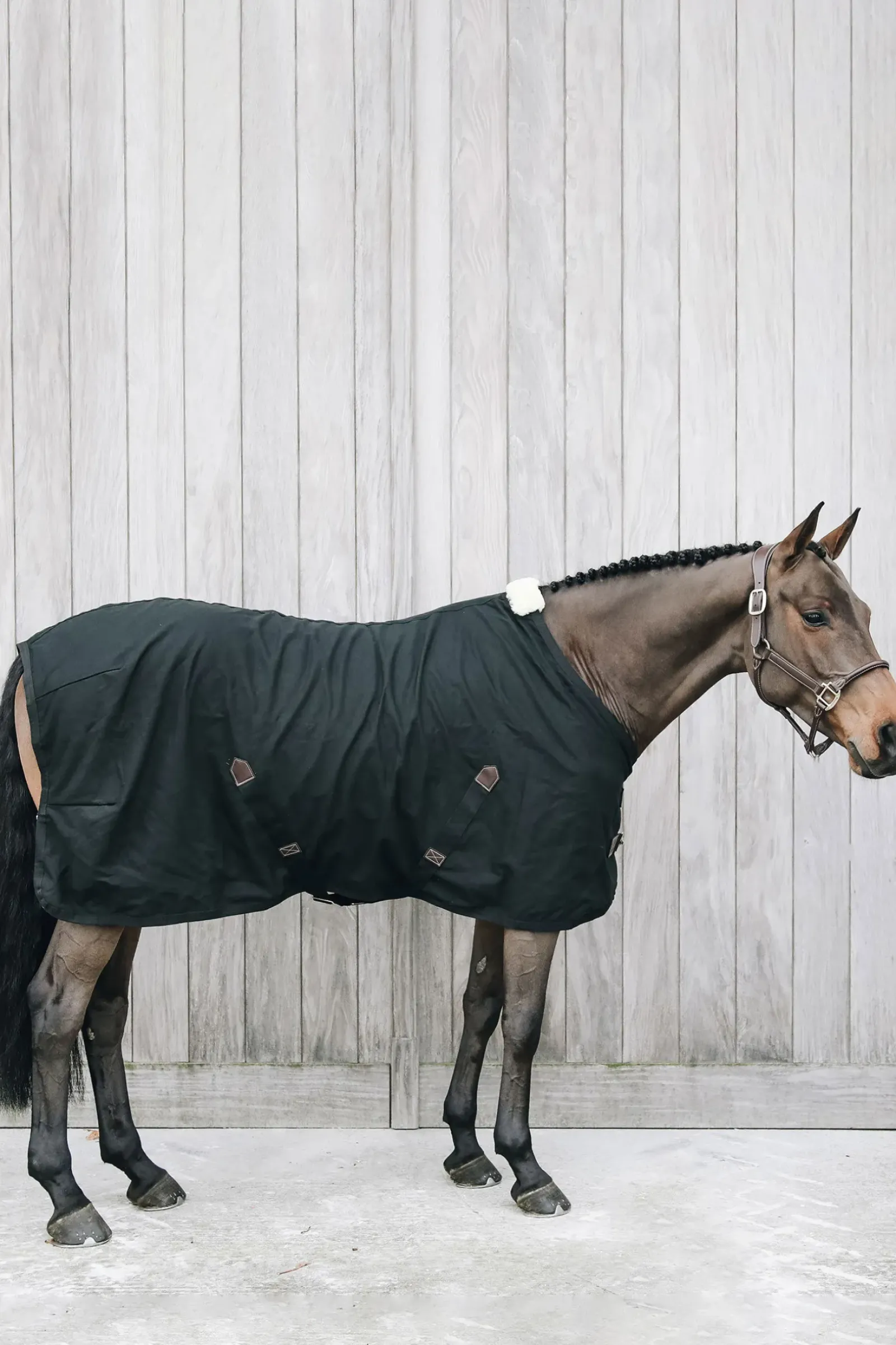 kentucky Sechante En Coton Horsewear Black New