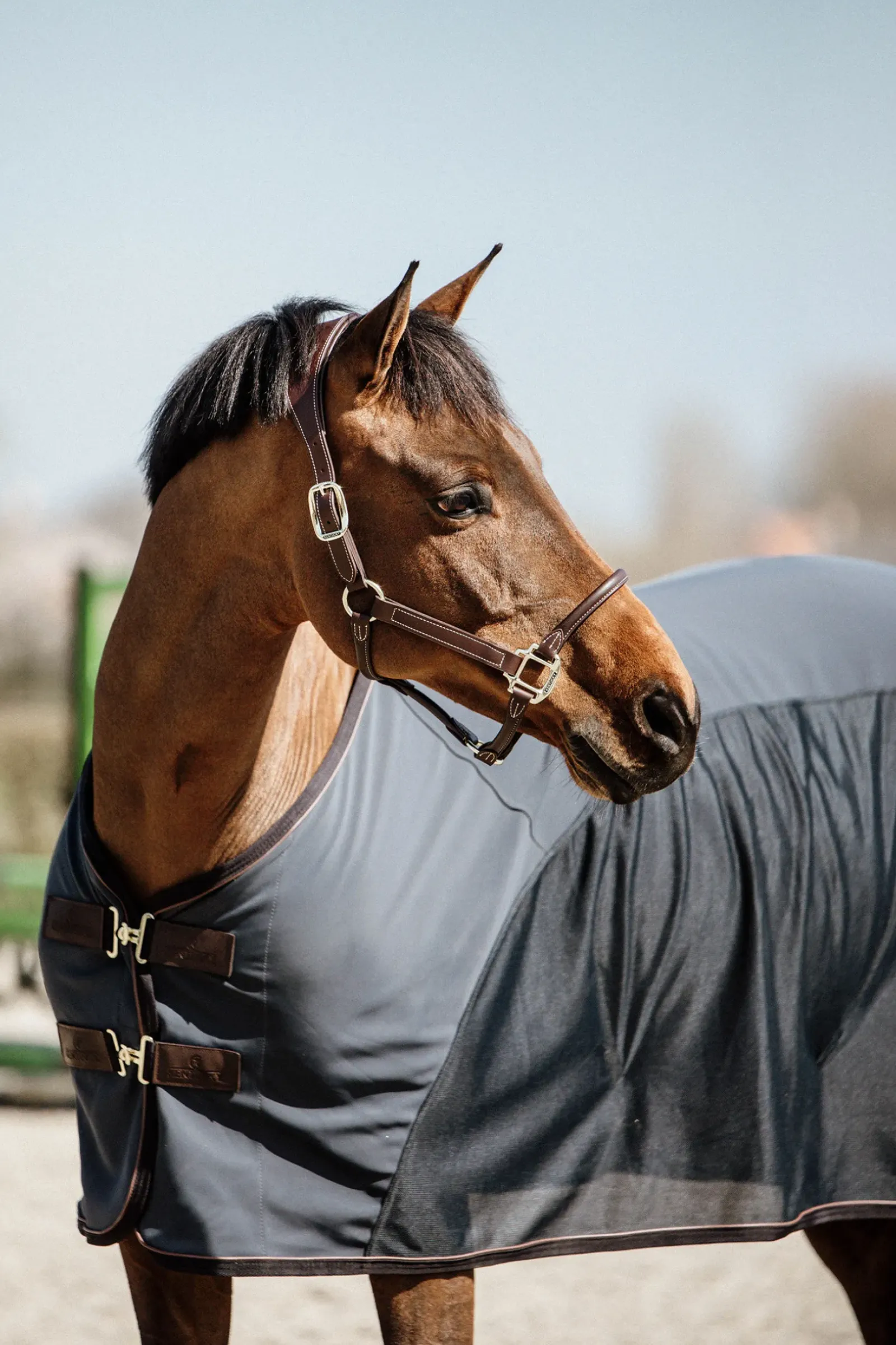 kentucky Sechante Softshell Horsewear Db/Ab Best