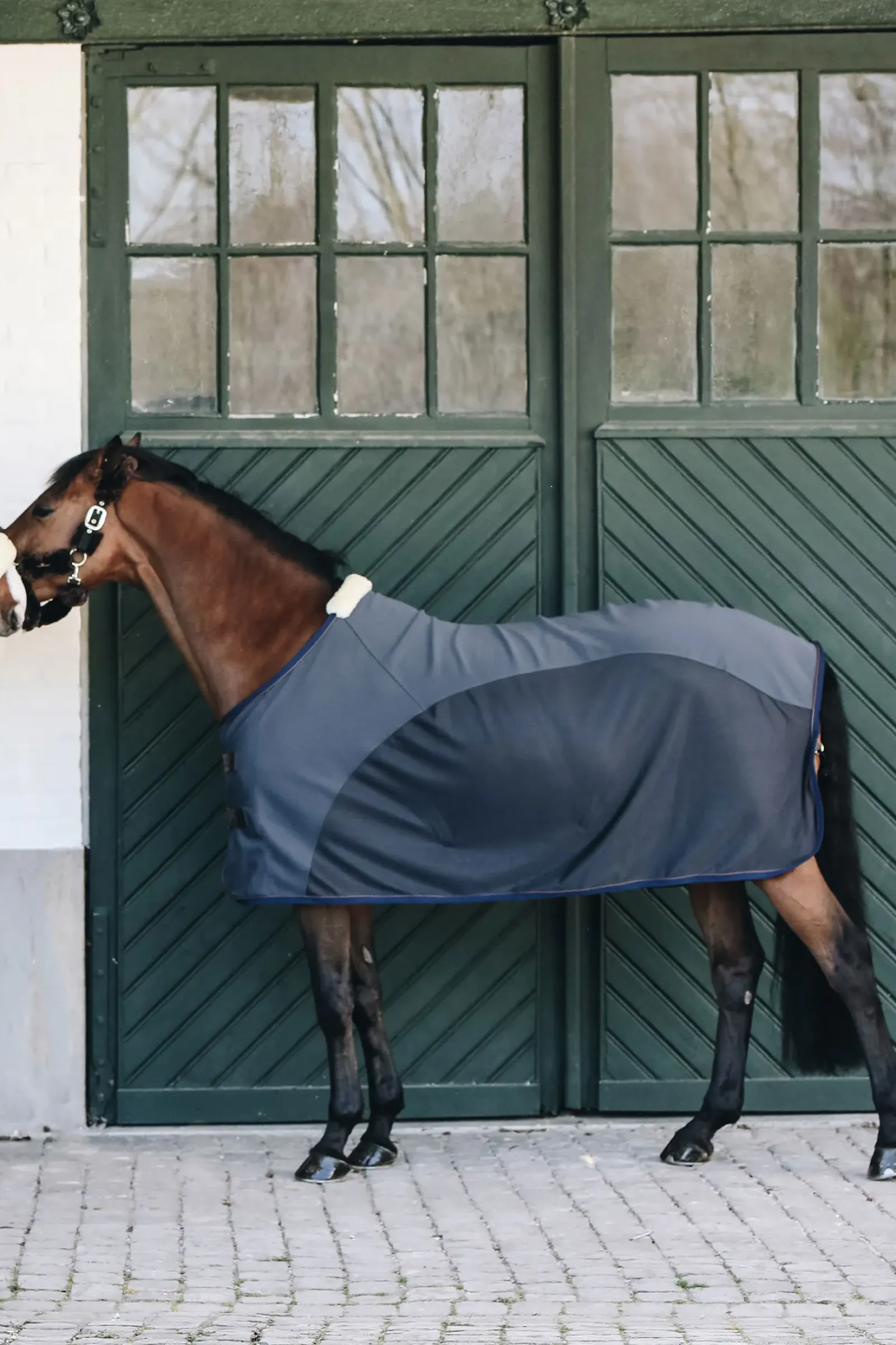 kentucky Sechante Softshell Horsewear Db/Ab Best