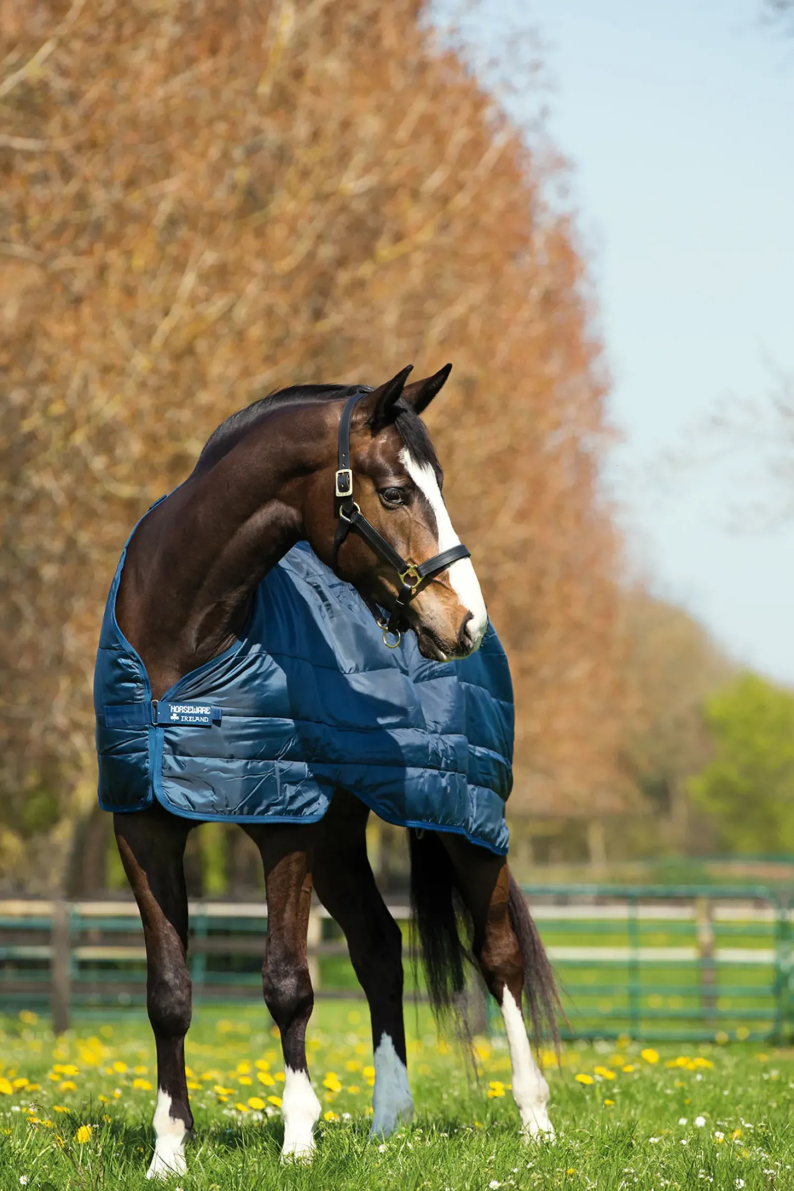 horseware Sous-Couverture Liner 400 Dark Blue/Dark Blue Sale