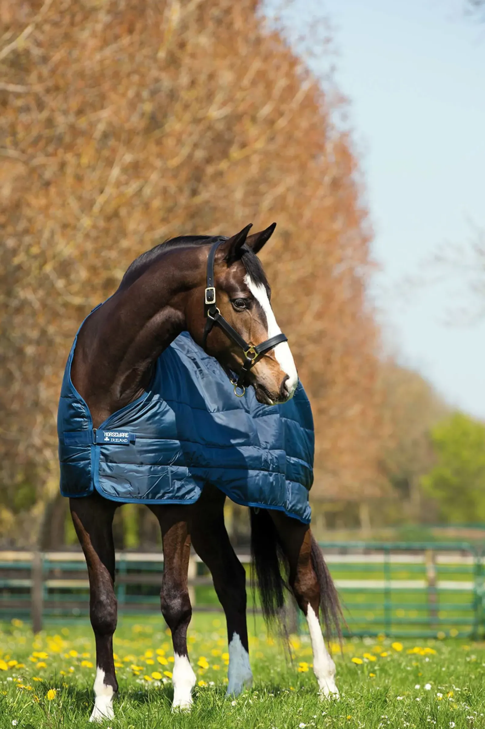 horseware Sous-Couverture Liner 300 Dark Blue/Dark Blue Hot