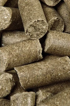 speed Eucalyptus Delicieux ies, Friandises, 5 Kg White/Blue Clearance