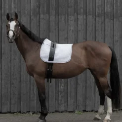 horze Surfaix De Voltige Noir Clearance