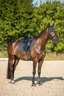 horze Tapis De Selle De Dressage Sandness Dark Navy Online