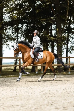 horze Tapis De Selle De Saut D'Obstacles Smoky Twilight Quiet Grey New