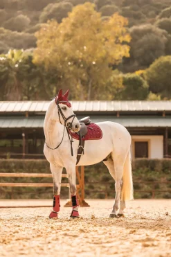 horze Tapis De Selle Mixte Kenya Rhubarb Dark Red Sale