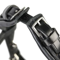 schockemohle Tetiere Equitus Rho Black/Silver Clearance