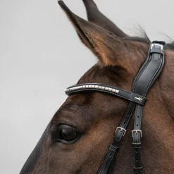 schockemohle Tetiere Equitus Rho Black/Silver Clearance