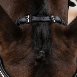 schockemohle Tetiere Equitus Rho Black/Silver Clearance