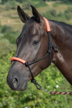 usg Knotted Rope Halter With Matching Lead Rope Black/Orange Outlet
