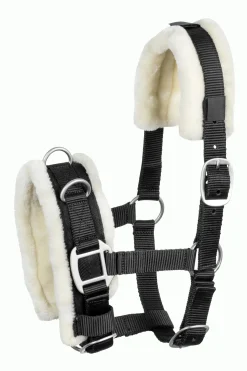 usg Shetty Cavesson Black Discount