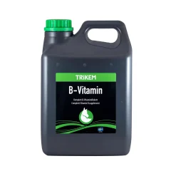 trikemsport Vitamine B Trikem, 1000 Ml Pas D'Indication Best