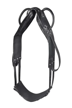 waldhausen Surfaix De Voltige Et De Longe Black Hot