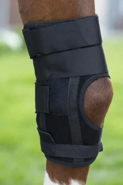 waldhausen Whealth & Care Guetres Pour Black